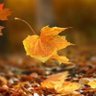 Фото профиля Arzu🍂🍃