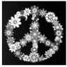 TRIP's profile picture
