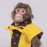 Фото профиля Cheeky Monkey