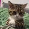 @AntonAllTime profil fotoğrafı