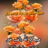 Baghdad dar alslam's profile picture