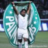 Heron Guedes's profile picture