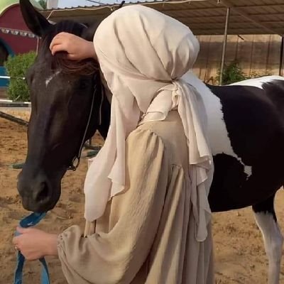 ᴍᴀɪ.🇵🇸's profile picture