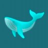 Profilbild von collin🐋🎹