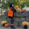 Profilbild von SaeLysss 🎃