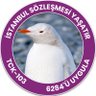 Selin Sezgin's profile picture