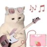 蕾拉's profile picture