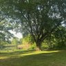 Rvbaan profil fotoğrafı