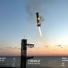 TeslaFlow𝕏's profile picture