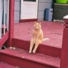 kanaday profil fotoğrafı
