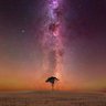 Фото профиля Shantanu Shekhar