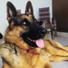 Rockzera profil fotoğrafı