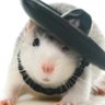 smoosh's profile picture