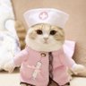 しもつき🐶頑張らないナース🗽's profile picture