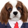 AndrewDavis's profile picture