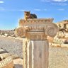 Apollonius of Tyre profil fotoğrafı