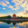 不想装's profile picture