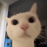 Profilbild von SSH