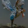 Soloviov's profile picture