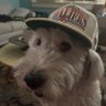 Henry (go kraken)'s profile picture