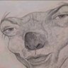 rafa luna's profile picture