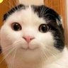 Profilbild von ซิ้วที่ไม่ใช่ยี่ห้อทิชชู่🌞🐰
