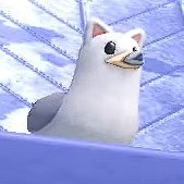 Icay__'s profile picture