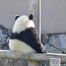 t_hola's profile picture