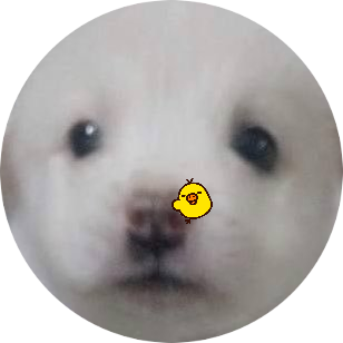 쥐's profile picture