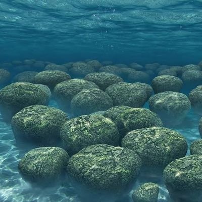 stromatolite_46's profile picture