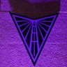 The Valkyries Fan 🪽 💜🏀 profil fotoğrafı