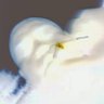 Profilbild von j kush