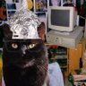 Cuscuz Bélico profil fotoğrafı