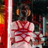 Music 🎧 的头像