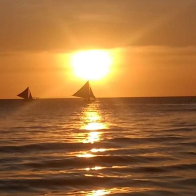 💛IdolKoCute💛's profile picture