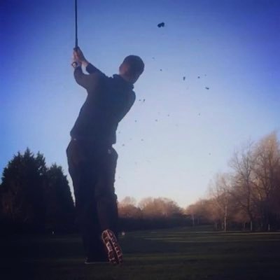 elsdongolf's profile picture