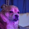TheMovieHero's profile picture