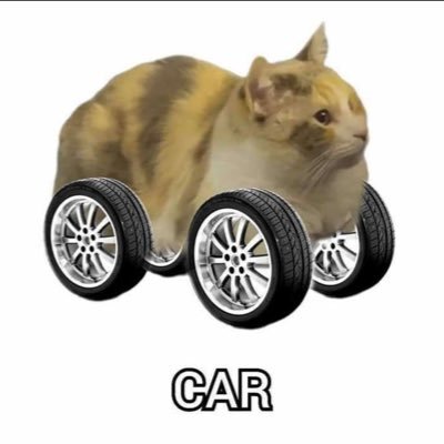 vvvery77's profile picture