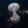 Фото профиля そうだよ〜