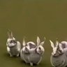 Фото профиля ドラゴンを開く