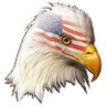 Handsome Patriot profil fotoğrafı