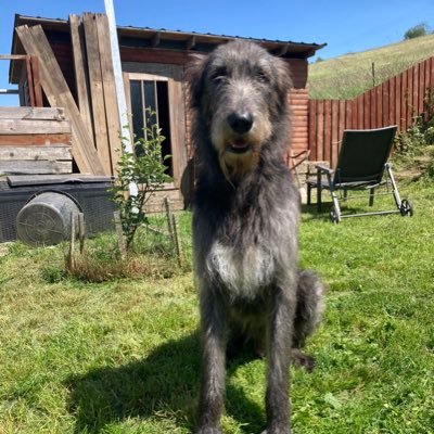 SaskiaW1983's profile picture