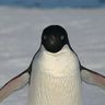 Spencer Hart's profile picture