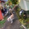 Dusty’snutz profil fotoğrafı