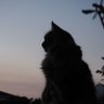 Joseph's profile picture