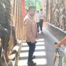 the_only_ajinkya's profile picture