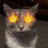 Profilbild von aboood