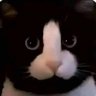 ELYB4's profile picture