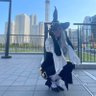 taayo🥀💙HiBaNa JP⭐︎AUS💙 的头像