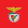 SL Benfica profil fotoğrafı